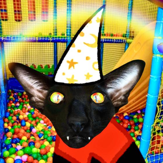A collage made in Picsart placing the head of a black Oriental Shorthair cat into the shirt and dunce-like star-and-moon-patterned cap of a Homestuck character. The cat has large ears, an angular face, round rainbow eyes with slit pupils, and bat or vampire-like fangs. The background is a play-place with a slide leading into a ball pit with multicolored balls. There is a net around the slide and ball pit. There is a translucent rainbow overlaid on the image. This image is intended to represent Zephyr, the webmaster.